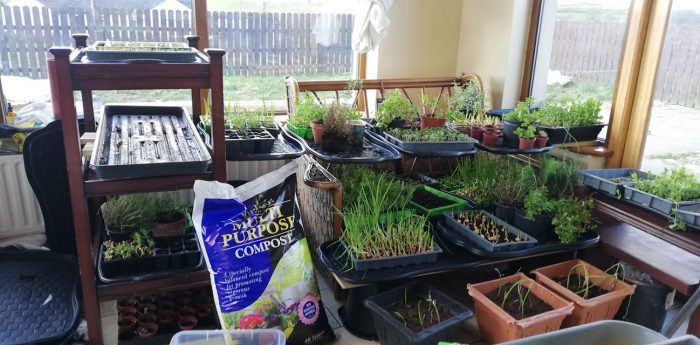 Lovely photo from a very happy and busy customer Lovely photo from a very happy and busy customer